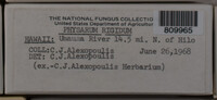 Image Associated With the Occurence